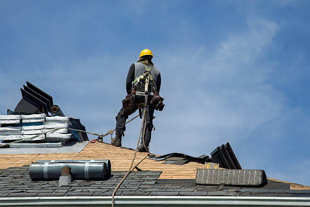 Professional Storm Damage Roof Repair technician working in Springfield, MN